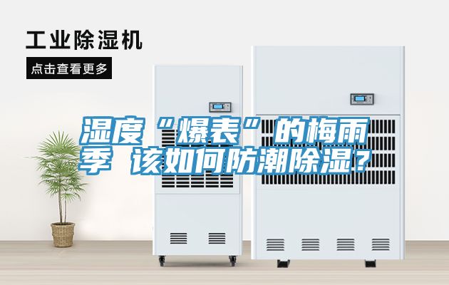 湿度“爆表”的梅雨季 该如何防潮除湿？