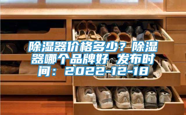 除湿器价格多少？除湿器哪个品牌好 发布时间：2022-12-18