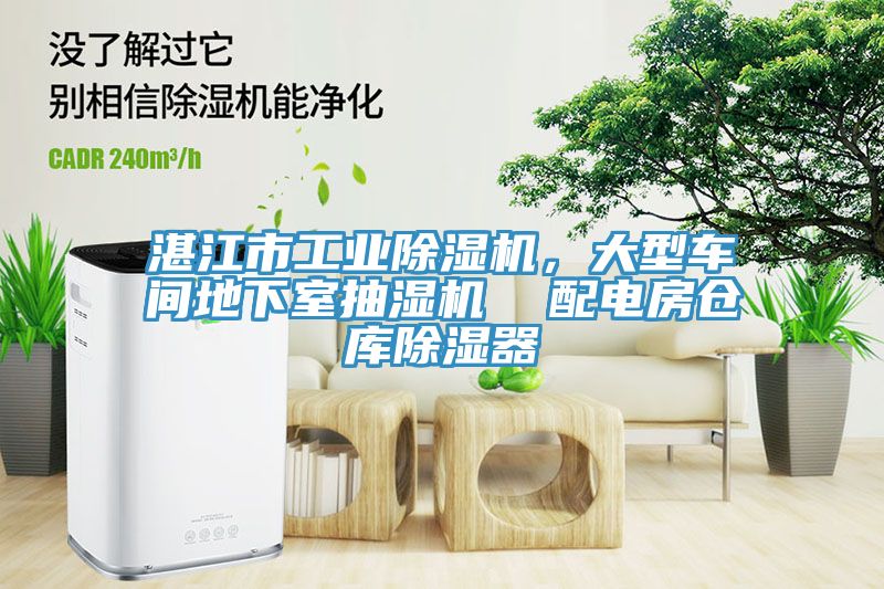 湛江市工业辣椒视频APP下载并安装，大型车间地下室抽湿机  配电房仓库除湿器