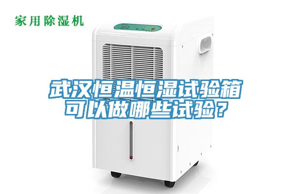 武汉恒温恒湿试验箱可以做哪些试验？