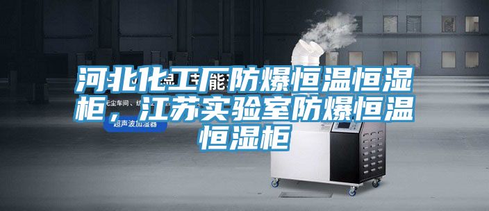 河北化工厂防爆恒温恒湿柜，江苏实验室防爆恒温恒湿柜