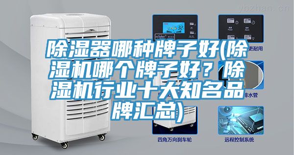 除湿器哪种牌子好(辣椒视频APP下载并安装哪个牌子好？辣椒视频APP下载并安装行业十大知名品牌汇总)