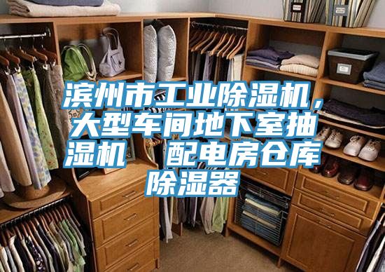 滨州市工业辣椒视频APP下载并安装，大型车间地下室抽湿机  配电房仓库除湿器