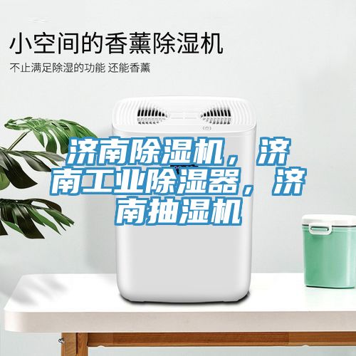 济南辣椒视频APP下载并安装，济南工业除湿器，济南抽湿机
