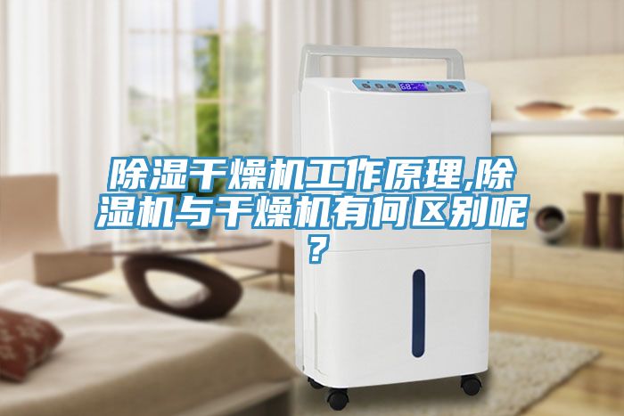 除湿干燥机工作原理,辣椒视频APP下载并安装与干燥机有何区别呢？