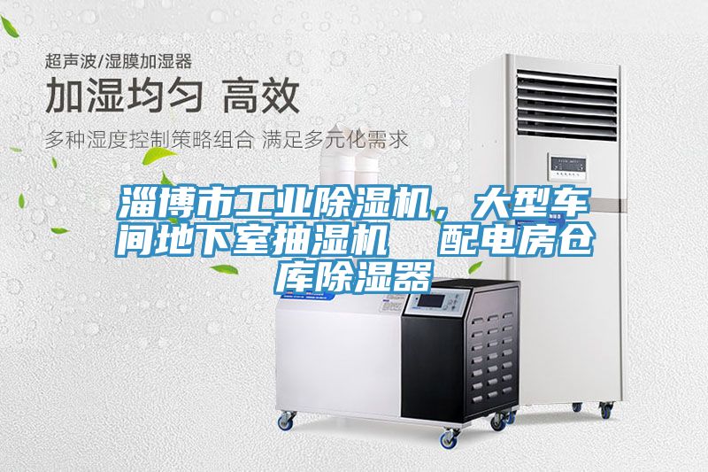 淄博市工业辣椒视频APP下载并安装，大型车间地下室抽湿机  配电房仓库除湿器