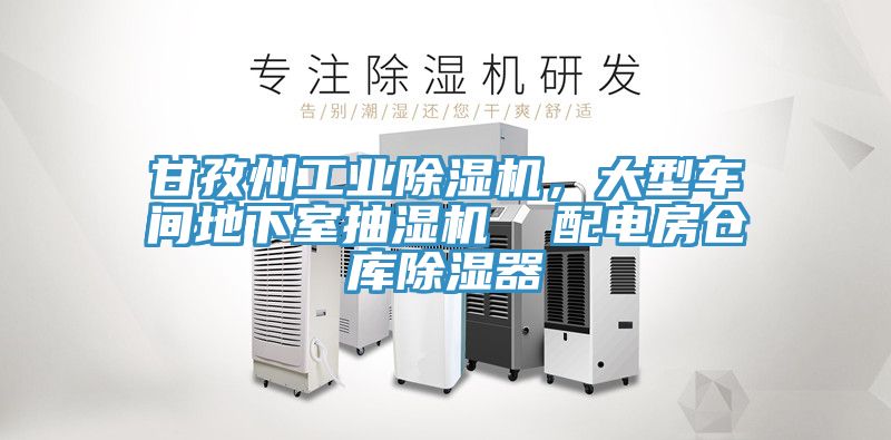 甘孜州工业辣椒视频APP下载并安装，大型车间地下室抽湿机  配电房仓库除湿器