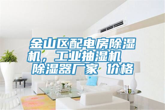 金山区配电房辣椒视频APP下载并安装，工业抽湿机  除湿器厂家 价格