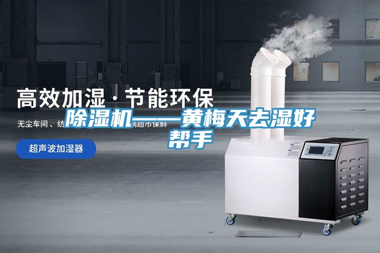 辣椒视频APP下载并安装——黄梅天去湿好帮手