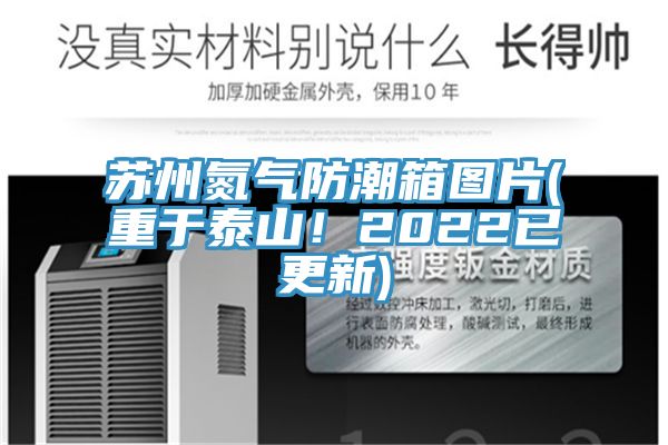 苏州氮气防潮箱图片(重于泰山！2022已更新)