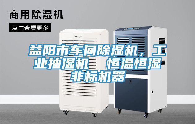 益阳市车间辣椒视频APP下载并安装，工业抽湿机  恒温恒湿非标机器