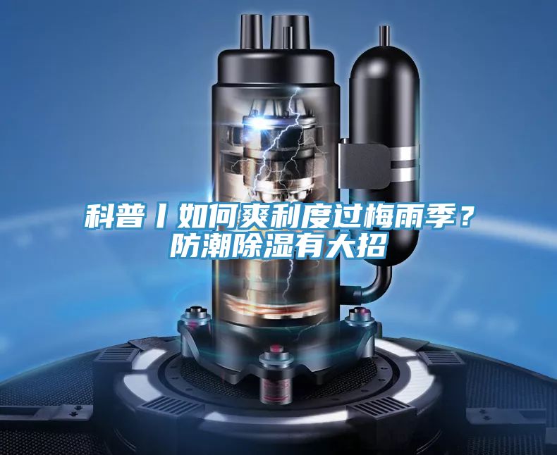 科普丨如何爽利度过梅雨季？防潮除湿有大招