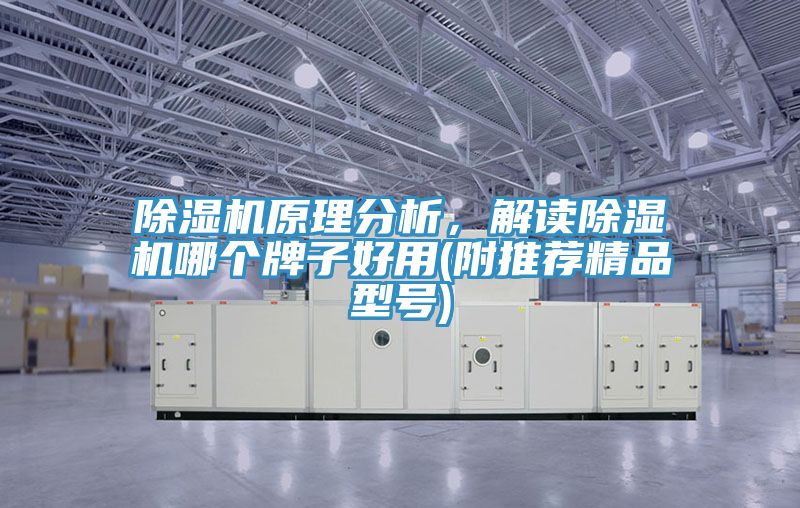 辣椒视频APP下载并安装原理分析，解读辣椒视频APP下载并安装哪个牌子好用(附推荐精品型号)