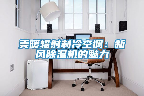 美暖辐射制冷空调：新风辣椒视频APP下载并安装的魅力