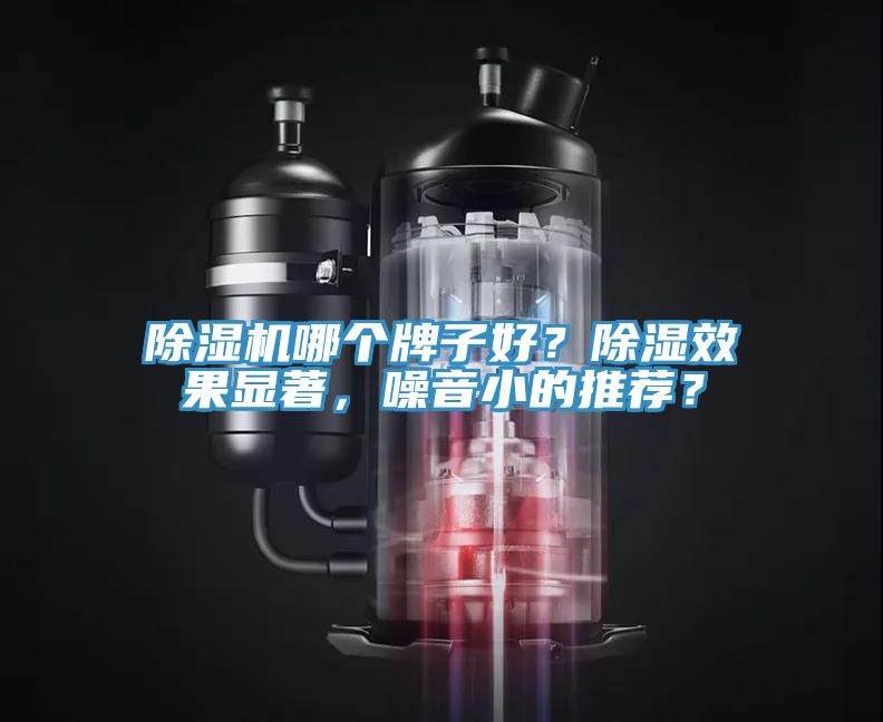 辣椒视频APP下载并安装哪个牌子好？除湿效果显著，噪音小的推荐？