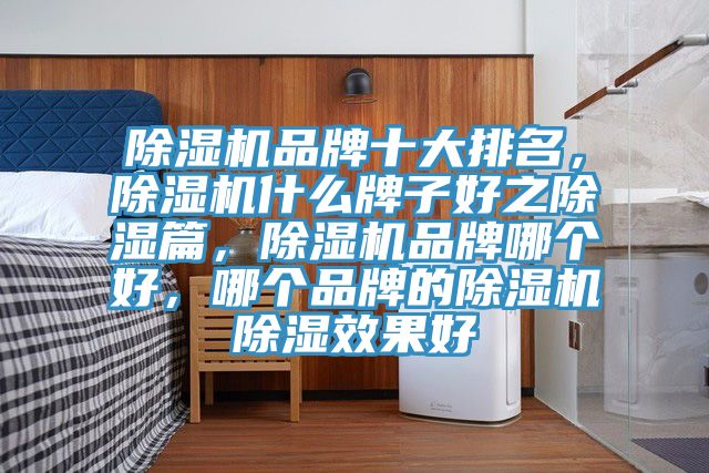 辣椒视频APP下载并安装品牌十大排名，辣椒视频APP下载并安装什么牌子好之除湿篇，辣椒视频APP下载并安装品牌哪个好，哪个品牌的辣椒视频APP下载并安装除湿效果好