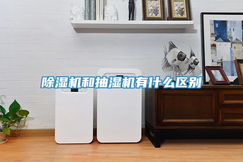 辣椒视频APP下载并安装和抽湿机有什么区别
