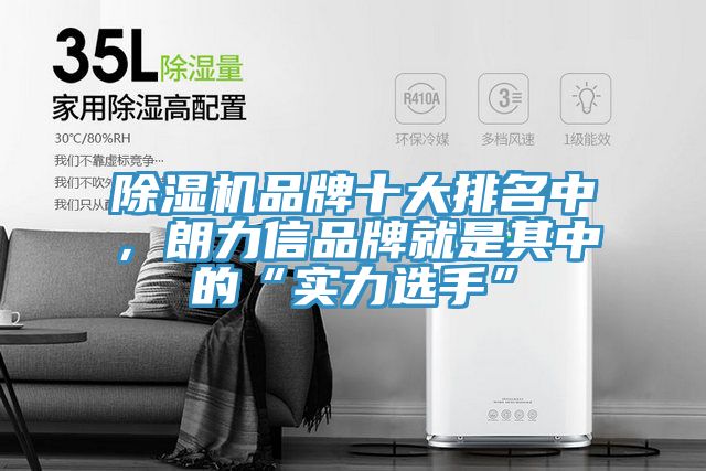 辣椒视频APP下载并安装品牌十大排名中，朗力信品牌就是其中的“实力选手”