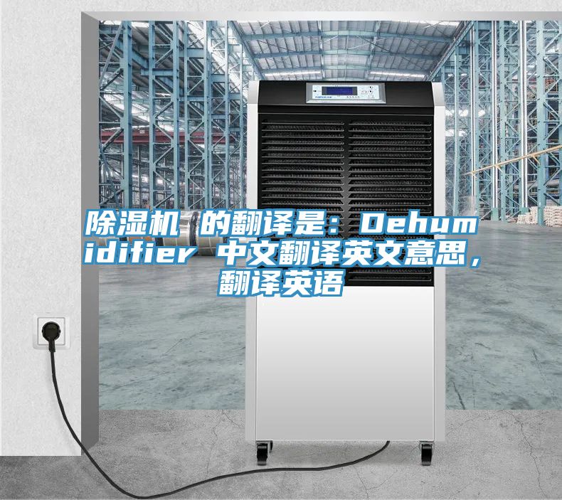 辣椒视频APP下载并安装 的翻译是：Dehumidifier 中文翻译英文意思，翻译英语
