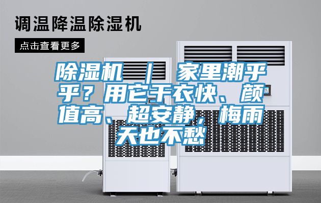 辣椒视频APP下载并安装 ｜ 家里潮乎乎？用它干衣快、颜值高、超安静，梅雨天也不愁