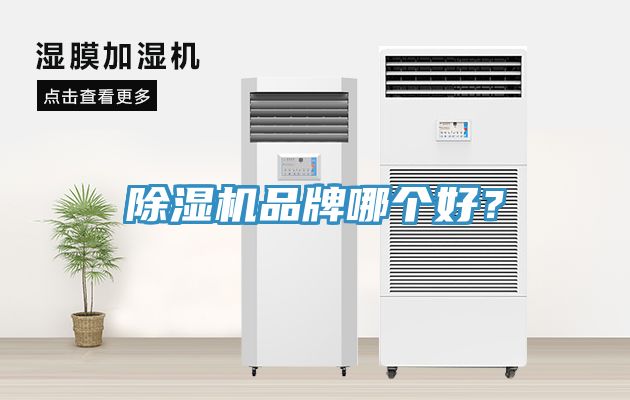 辣椒视频APP下载并安装品牌哪个好？