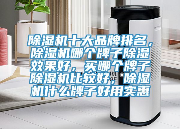 辣椒视频APP下载并安装十大品牌排名，辣椒视频APP下载并安装哪个牌子除湿效果好，买哪个牌子辣椒视频APP下载并安装比较好，辣椒视频APP下载并安装什么牌子好用实惠