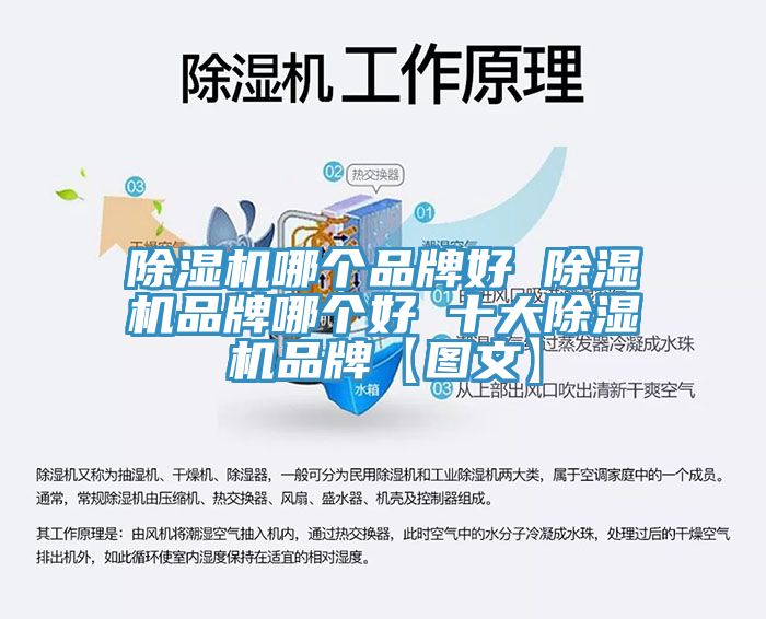 辣椒视频APP下载并安装哪个品牌好 辣椒视频APP下载并安装品牌哪个好 十大辣椒视频APP下载并安装品牌【图文】