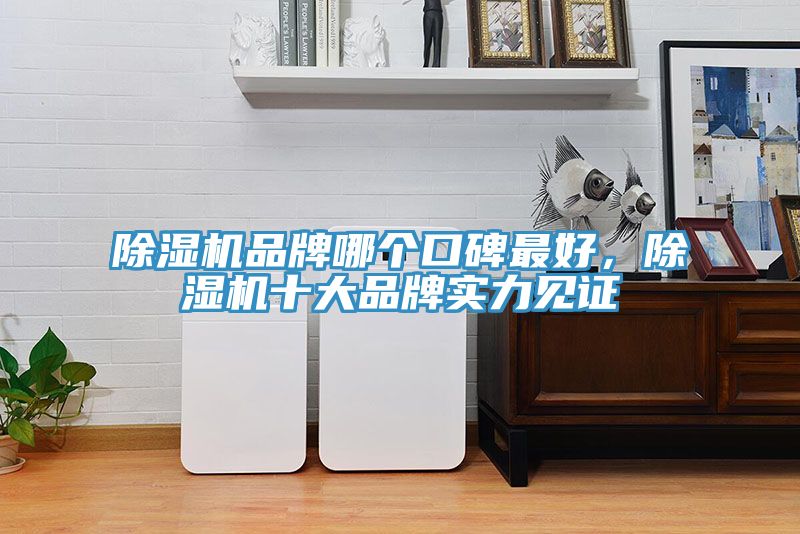 辣椒视频APP下载并安装品牌哪个口碑最好，辣椒视频APP下载并安装十大品牌实力见证