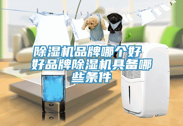 辣椒视频APP下载并安装品牌哪个好 好品牌辣椒视频APP下载并安装具备哪些条件