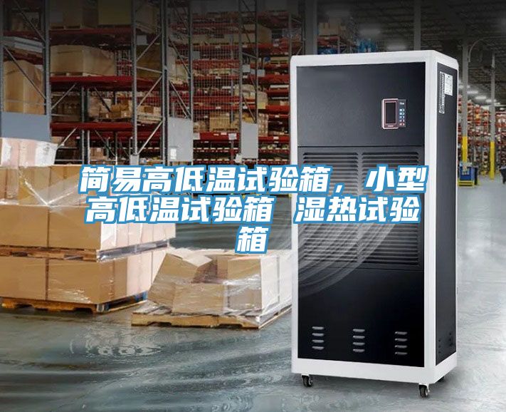 简易高低温试验箱，小型高低温试验箱 湿热试验箱
