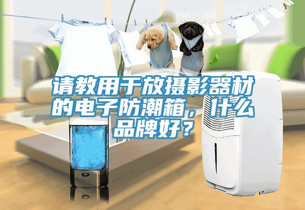 请教用于放摄影器材的电子防潮箱，什么品牌好？