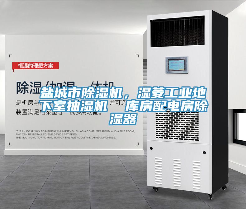 盐城市辣椒视频APP下载并安装，湿菱工业地下室抽湿机  库房配电房除湿器