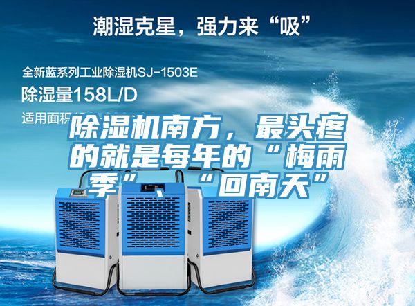 辣椒视频APP下载并安装南方，最头疼的就是每年的“梅雨季”、“回南天”