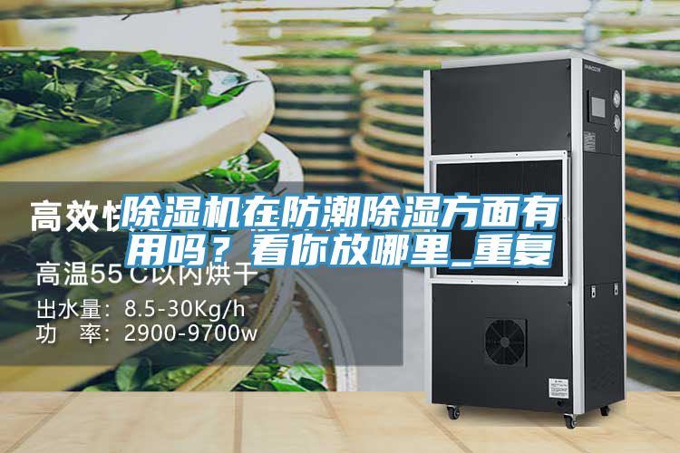 辣椒视频APP下载并安装在防潮除湿方面有用吗？看你放哪里_重复