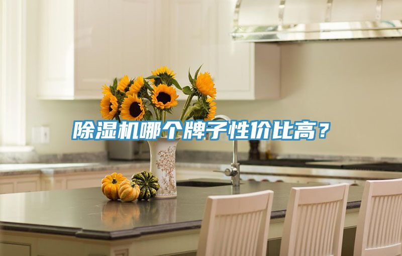 辣椒视频APP下载并安装哪个牌子性价比高？