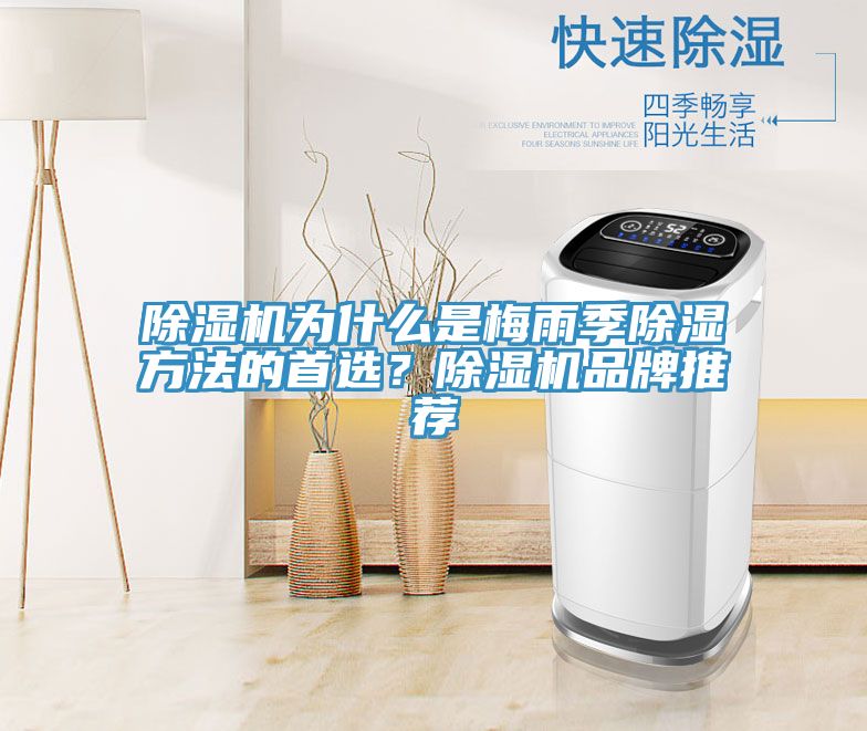 辣椒视频APP下载并安装为什么是梅雨季除湿方法的首选？辣椒视频APP下载并安装品牌推荐