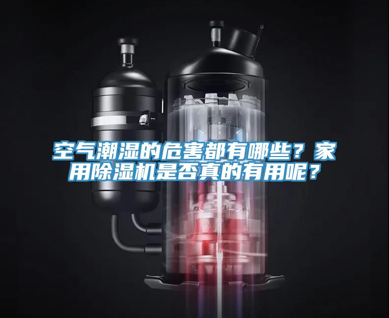 空气潮湿的危害都有哪些？家用辣椒视频APP下载并安装是否真的有用呢？