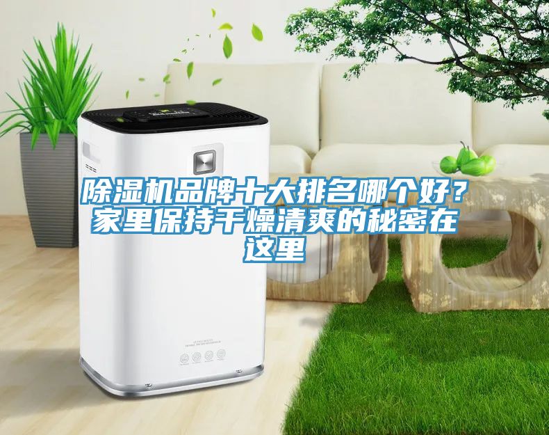 辣椒视频APP下载并安装品牌十大排名哪个好？家里保持干燥清爽的秘密在这里