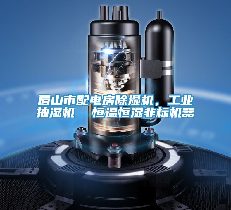眉山市配电房辣椒视频APP下载并安装，工业抽湿机  恒温恒湿非标机器
