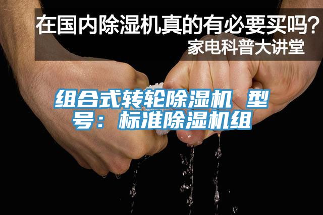 组合式转轮辣椒视频APP下载并安装 型号：标准辣椒视频APP下载并安装组