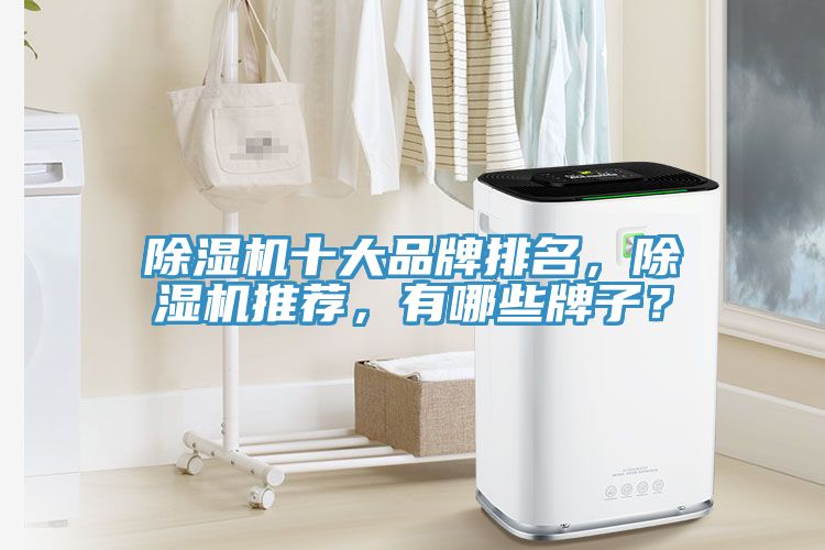 辣椒视频APP下载并安装十大品牌排名，辣椒视频APP下载并安装推荐，有哪些牌子？