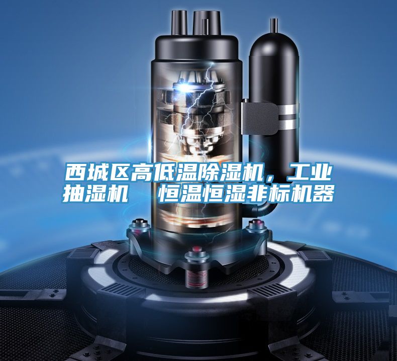 西城区高低温辣椒视频APP下载并安装，工业抽湿机  恒温恒湿非标机器
