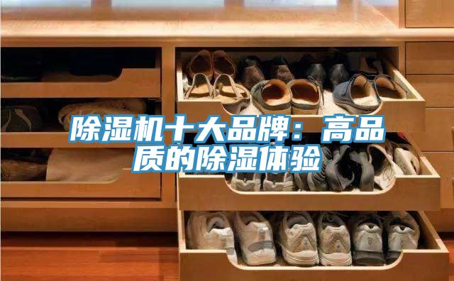 辣椒视频APP下载并安装十大品牌：高品质的除湿体验