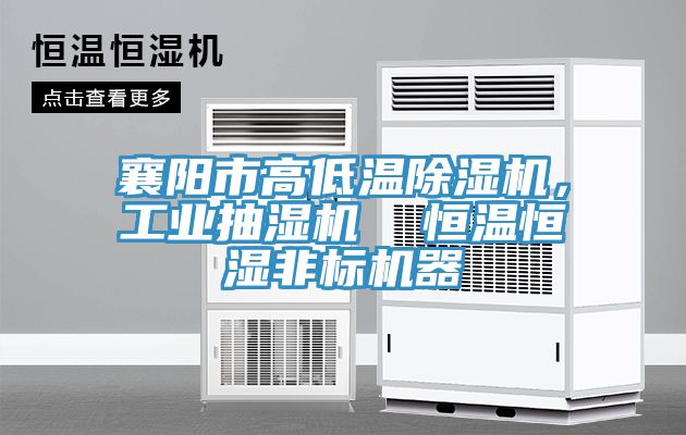 襄阳市高低温辣椒视频APP下载并安装，工业抽湿机  恒温恒湿非标机器
