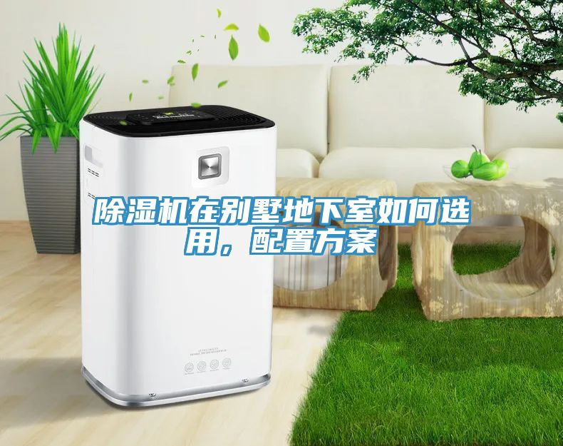 辣椒视频APP下载并安装在别墅地下室如何选用，配置方案
