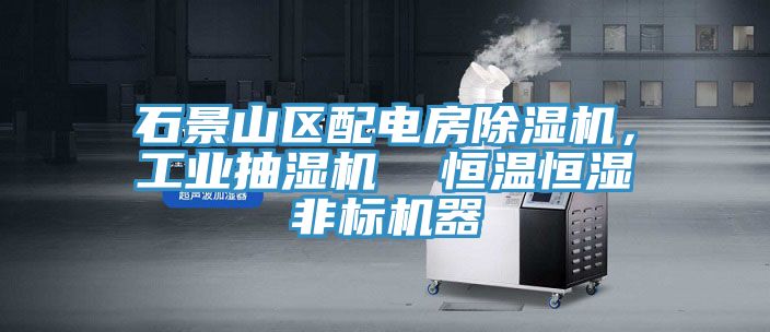 石景山区配电房辣椒视频APP下载并安装，工业抽湿机  恒温恒湿非标机器
