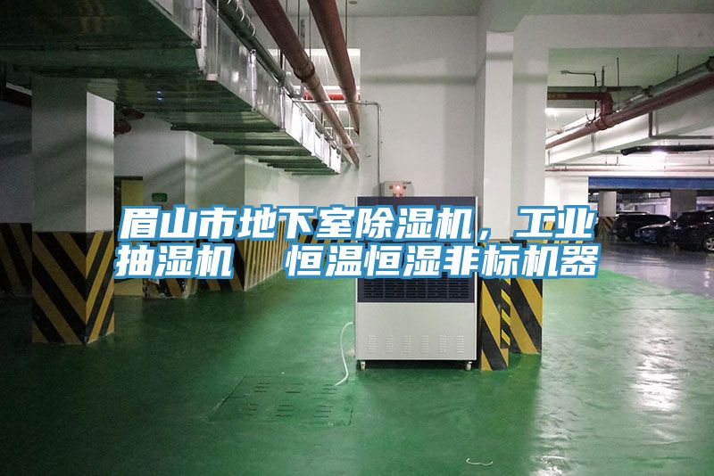 眉山市地下室辣椒视频APP下载并安装，工业抽湿机  恒温恒湿非标机器