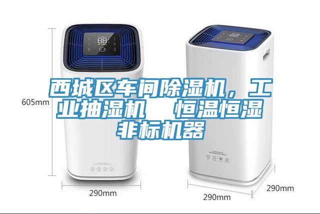 西城区车间辣椒视频APP下载并安装，工业抽湿机  恒温恒湿非标机器