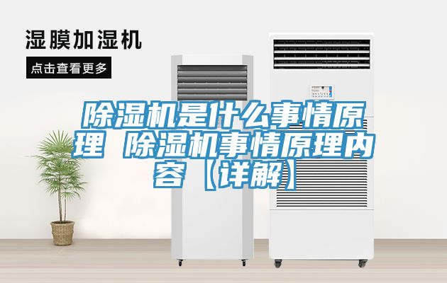 辣椒视频APP下载并安装是什么事情原理 辣椒视频APP下载并安装事情原理内容【详解】