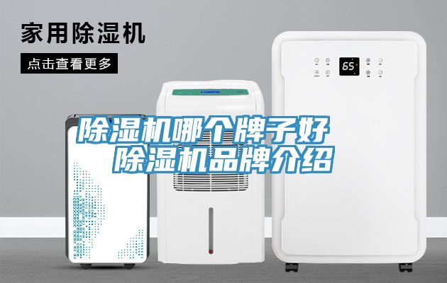辣椒视频APP下载并安装哪个牌子好  辣椒视频APP下载并安装品牌介绍